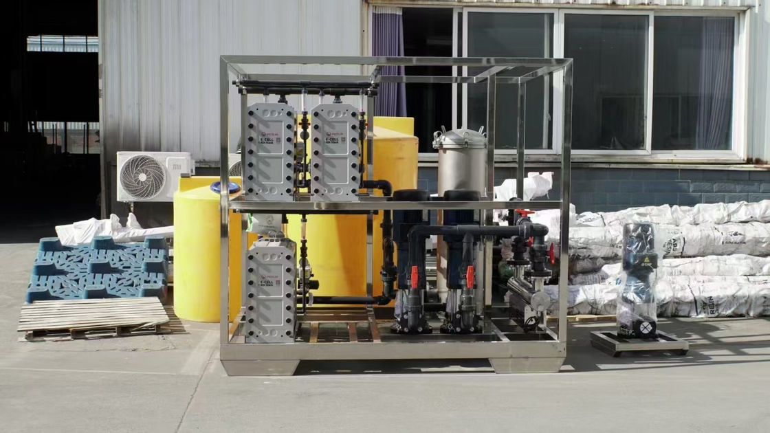 15 T/h EDI Ultra-Reinwasser-System Industriezweck mit 2-stufigem RO-System