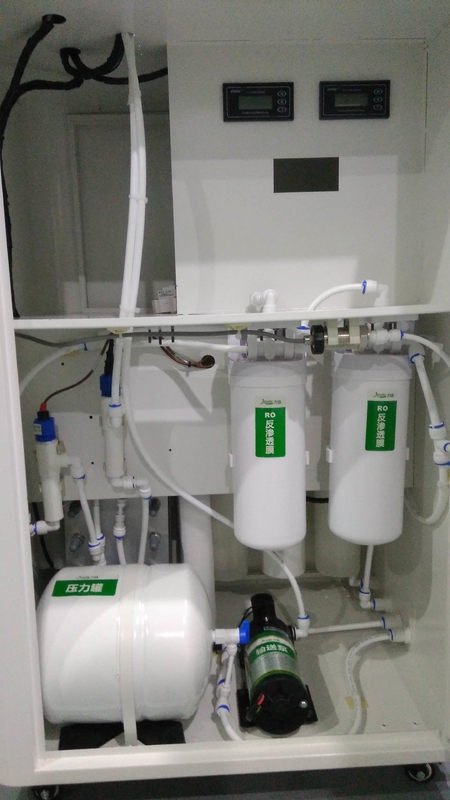 kleine 99% EDI Purified Water System Full Form 100lph für Wasserbehandlung